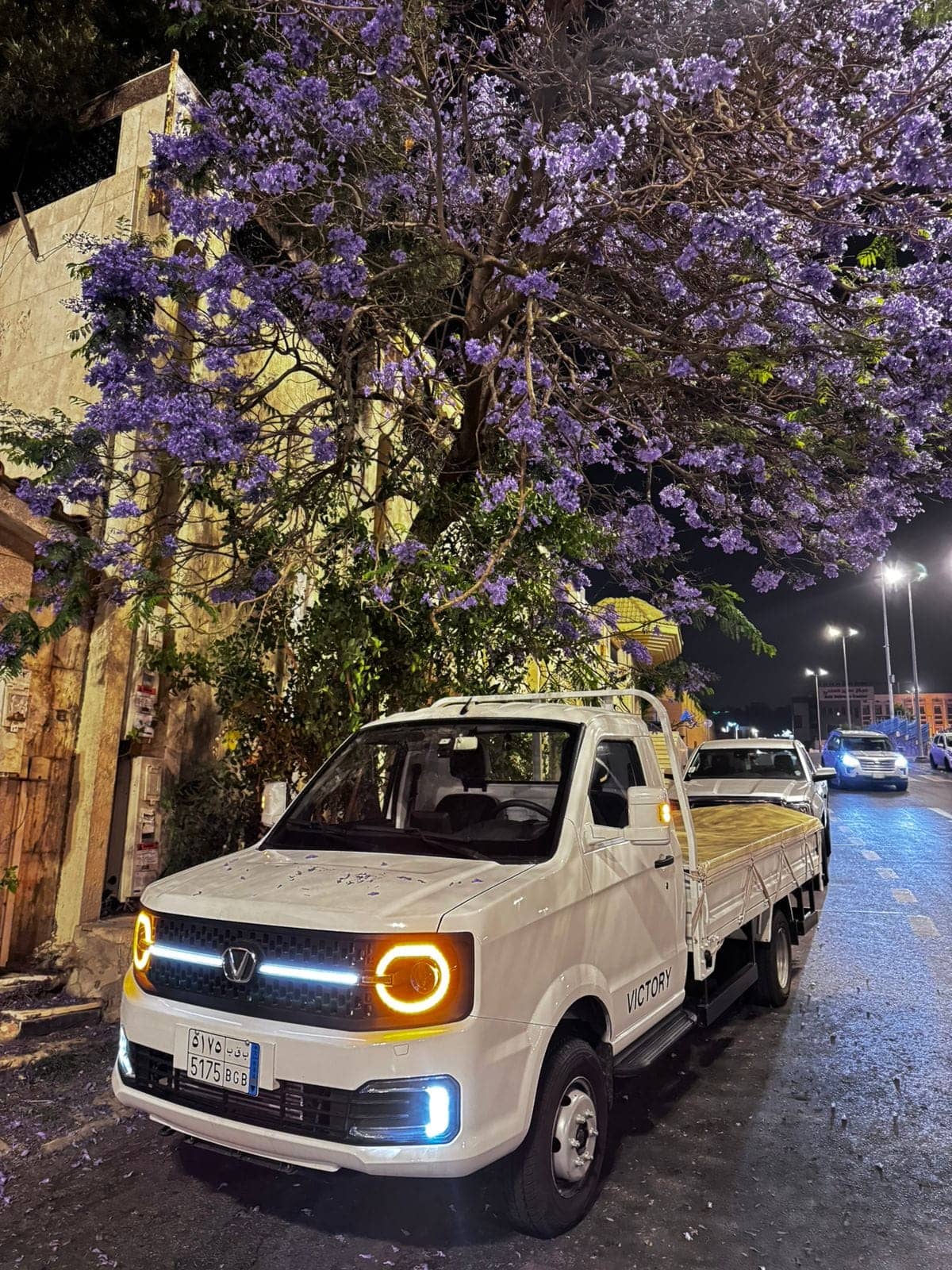 شاحنة فيكتوري 2 طن ديزل ليلاً تحت أشجار الجاكاراندا البنفسجية في أبها
