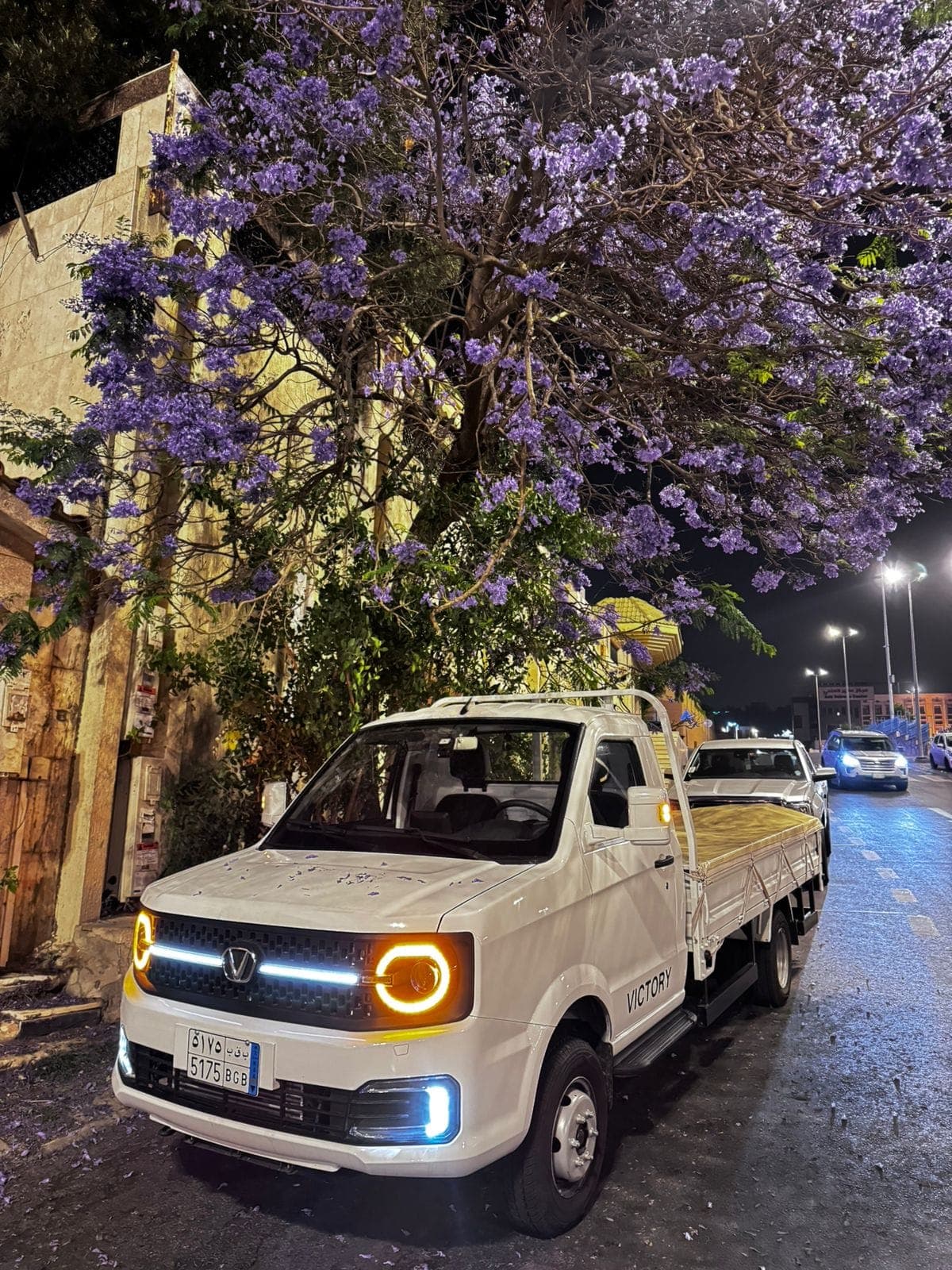 Victory 2-Ton Diesel truck at night beneath the purple jacaranda trees of Abha